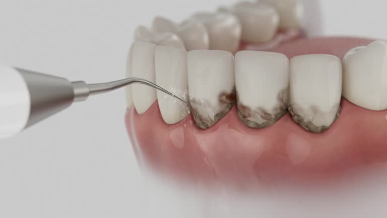 Reliable Dental contractor in Bristol, FL by Dentist Open Now